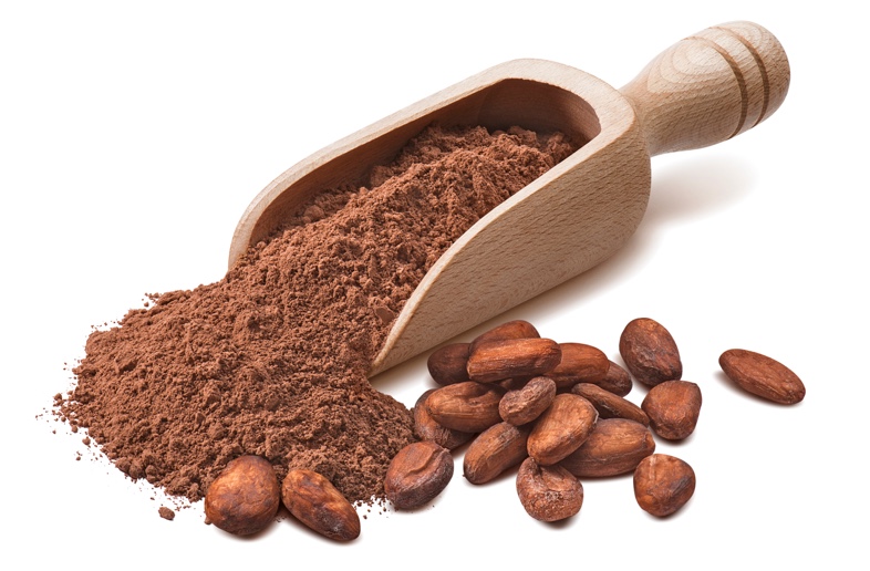 Cacao Bio 